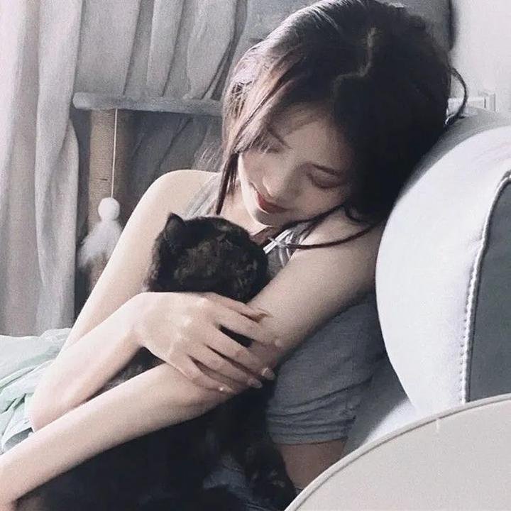 朱门情仇